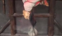 满清十大酷刑在线观看,惊心动魄的历史重现